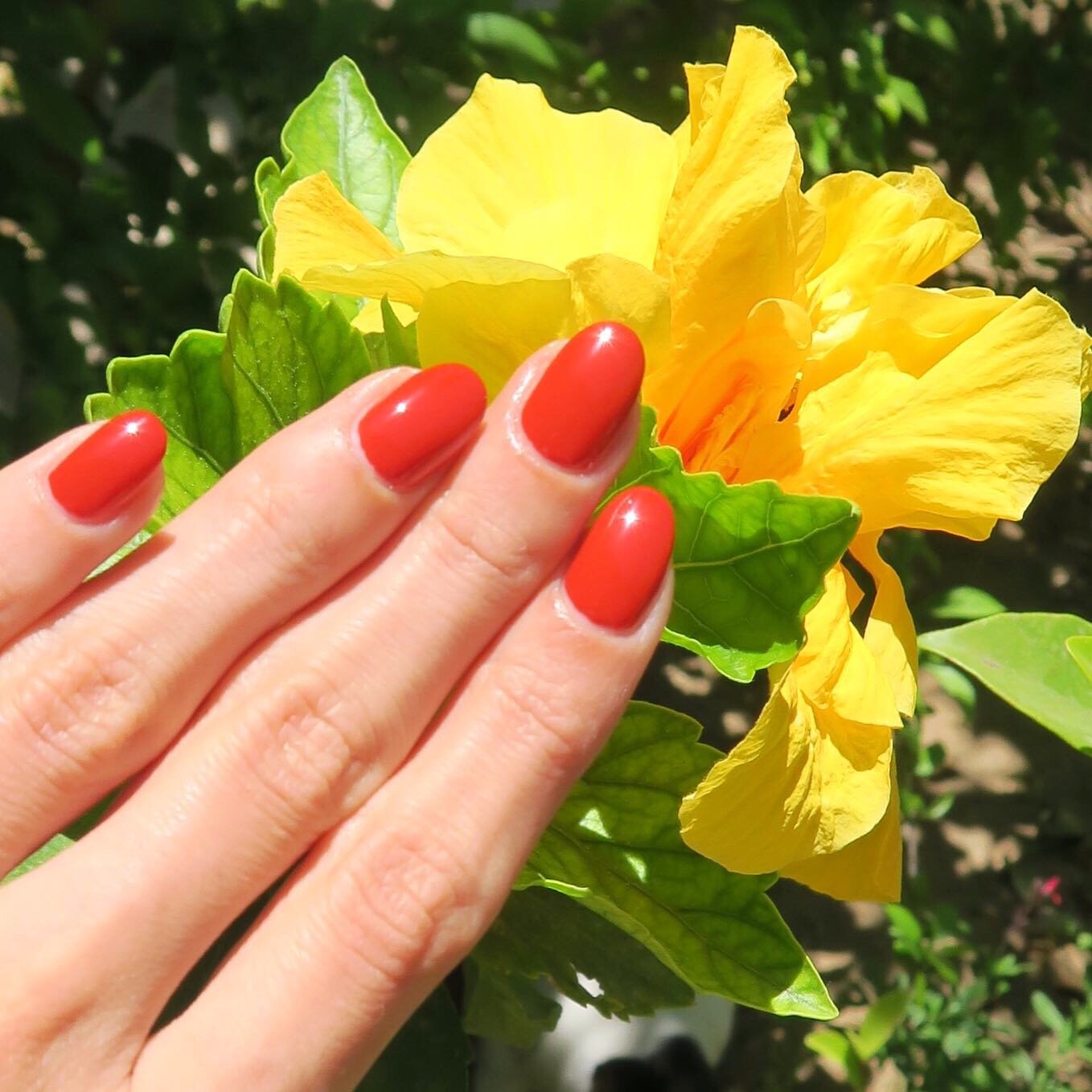 North Africa Nail Polish Set (3 Piece) - 786 Cosmetics