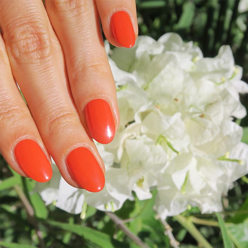 Southwest Europe Nail Polish Set (3 Piece) - 786 Cosmetics