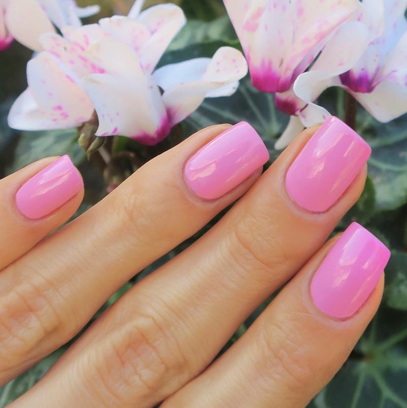 Middle East Nail Polish Set (3 Piece) - 786 Cosmetics