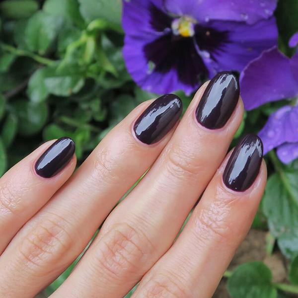 Purple Nail Polish Set (6 Piece) - 786 Cosmetics