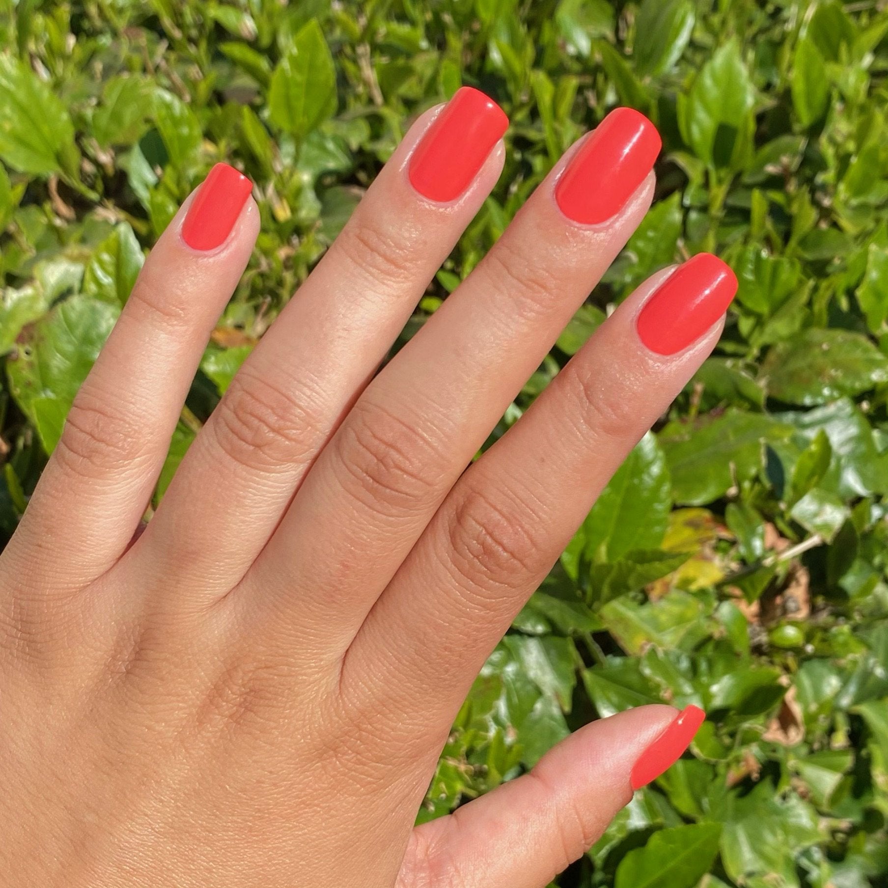 Tokyo - Halal Nail Polish - NEW! - 786 Cosmetics