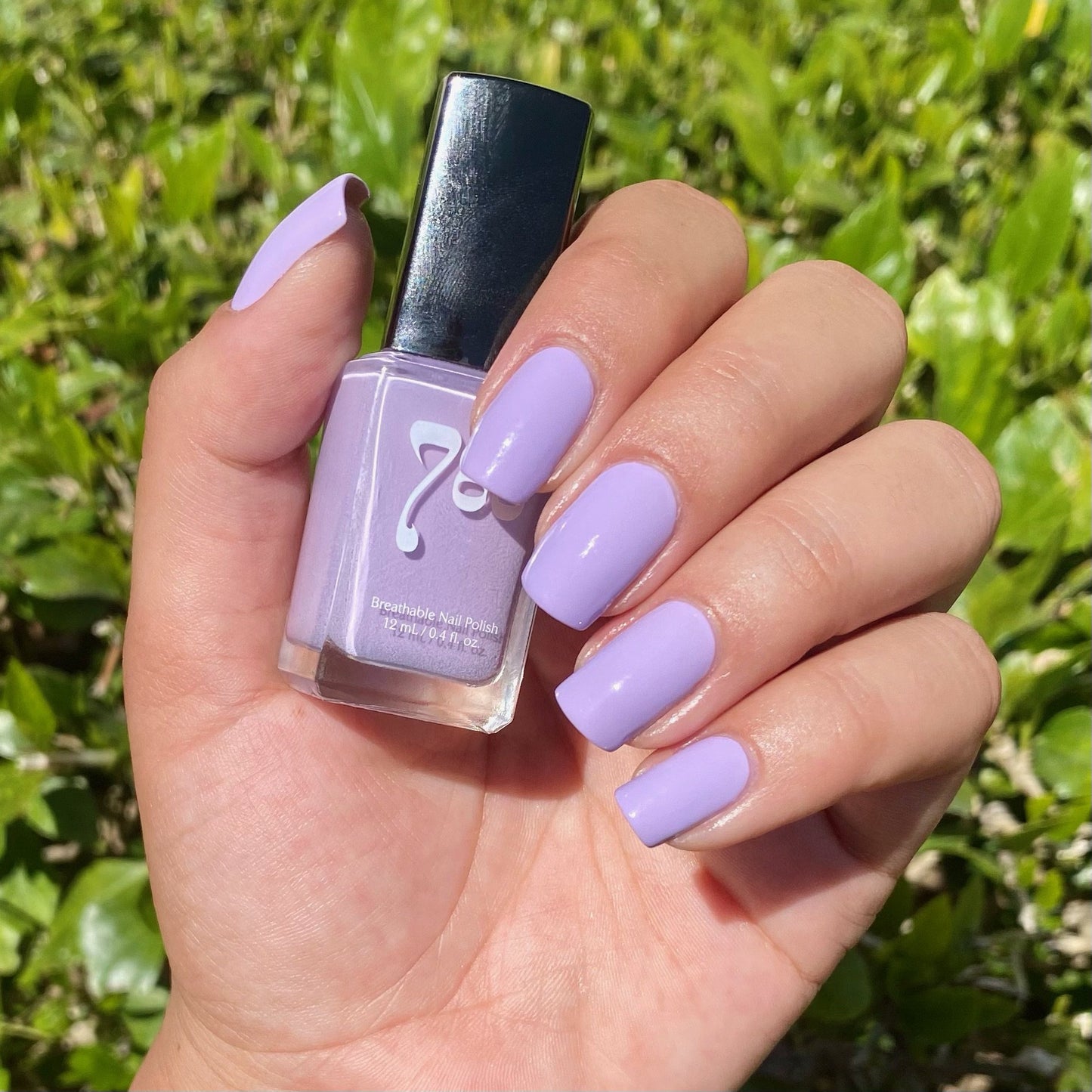 Provence - Halal Nail Polish - NEW! - 786 Cosmetics